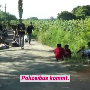Ungarn: Die Jagd auf Flüchtlinge - YouTube