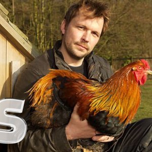 The Private Life Of Chickens - Real Stories (BBC 2010)