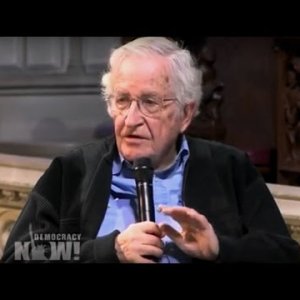 interVIEW: Noam Chomsky - How to Deal with the Trump Presidency (US 2017)