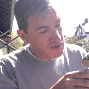 MENSCH+TIER+VÖGEL: Zahmer Vogel frisst aus der Hand - Gentle Bird eats from Hand in Peace (DE 2015)