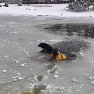 TIERE+MENSCH+RETTUNG+HUND+USA: Colorado Firefighters rescue a Dog who was stuck in Ice (US 01/2019)