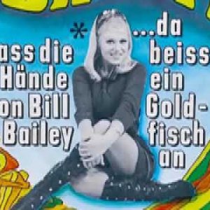 POP+ROCK+PFEIFLIED+SCHLAGER+COVER-SONG+RARE: Brigitt Petry - Da Beisst Ein Goldfisch An (Watch'n Chain) (DE 1968)