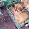 yulin15.webp