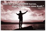 harren.webp