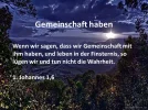 gemeinschaft haben.webp