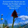 galube aus predigt.webp