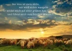 hirte aue.webp