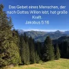 willen gottes lebt.webp