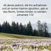 kind gottes.webp