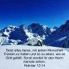 frieden mt allen.webp