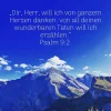 herzen danken.webp