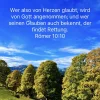 herzen glaubt.webp