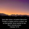 frieden leben.webp