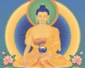 buddha.webp