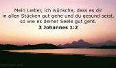 gesund seele.webp