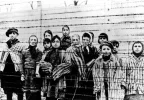 holocaust.webp