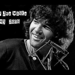 BLUES+FUNKY: Tony Joe White - I get off on it (US LIVE 1980)