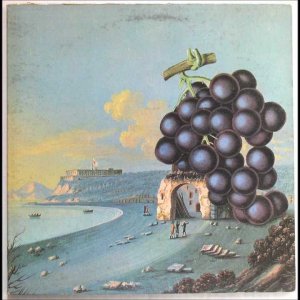 OLDIE+FOLK+BALLADE: Moby Grape - He (US 1968)