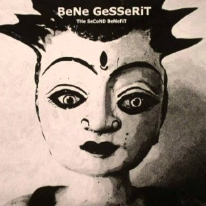 POP+ART+ELECTRONICA+LADY: BeNe GeSSeRiT - Willen Sie Tanzen Mit Mir? (BE 2014)