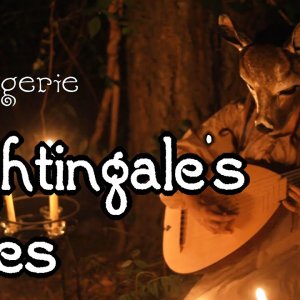 FOLK+MITTELALTER+INSTRUMENTAL+TIERMASKEN:  The Menagerie - Nightingale's Eyes [ Dragon Age ] (LV 2016)