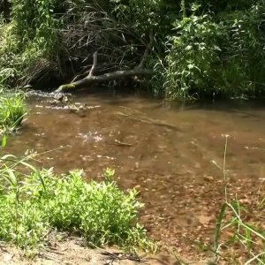 NO-MUSIC+NATURAL-SOUNDS+NOISE+NATUR+GERÄUSCHE: Fließendes Wasser & Wassergeräusche & Vogelzwitschern